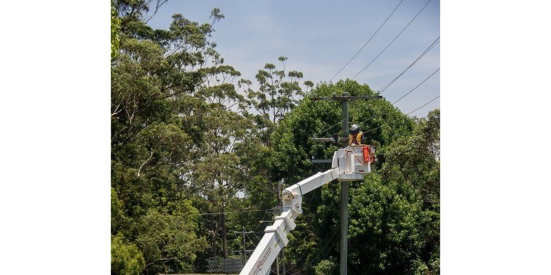 Elagage des arbres près du réseau électrique